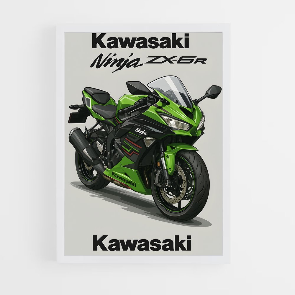 Poster Ninja zx-6r Énigmatique (vue 3)